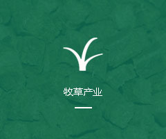 牧草产业