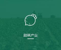 甜菜产业