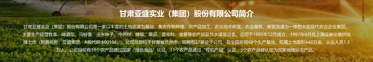 公司简介
